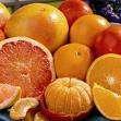 Citrus is one of the major export commodities of Pakistan and is grown in an area of 160,000 ha. Annual production of citrus is 1.5 MMT (http://www.pakissan.