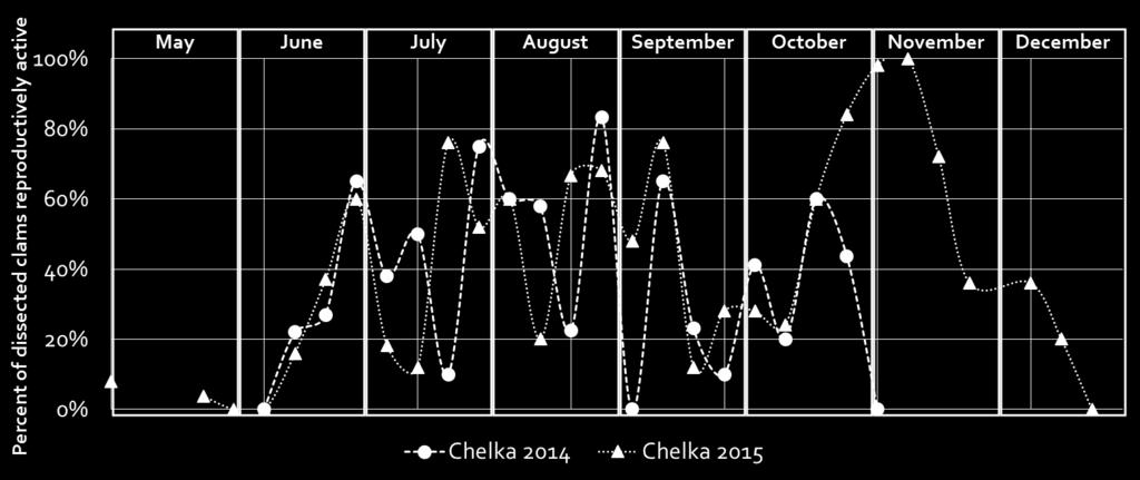 Timing Of Reproduction- Chelka Timing of reproduction for analyzed clams from the Chelka location in both 2014 and 2015.