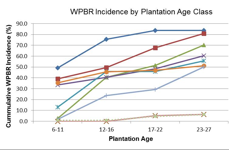 Percent White Pine Blister Rust (Incidence & Mortality) Cummulative