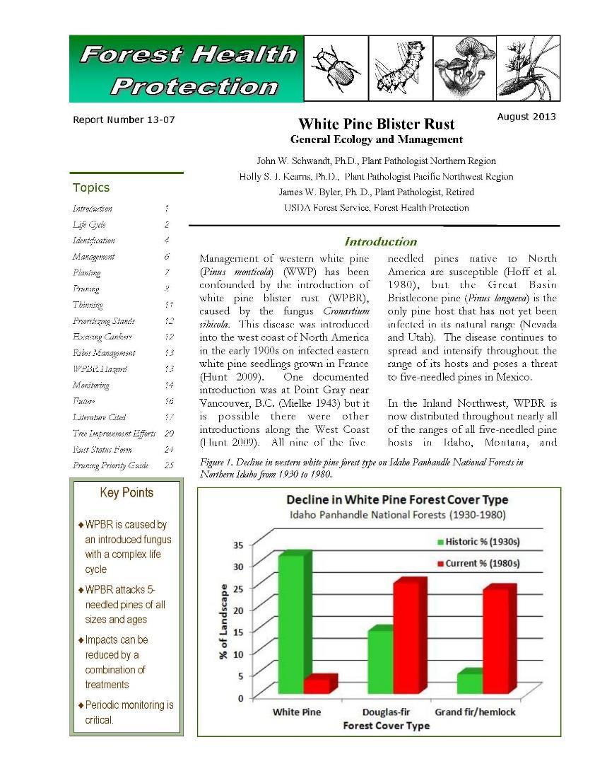 The Bottom Line Rust-resistant white pine consistently perform better than natural white pine Currently no exact predictor of rust site hazard Infection levels vary Do not plant pure stands of