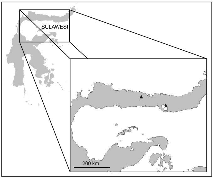 M. HUGHES 193 F IG. 2. Map showing collection localities in northern Sulawesi. Begonia chiasmogyna (m); Begonia macintyreana (#); Begonia mendumae (%); Begonia stevei (n).