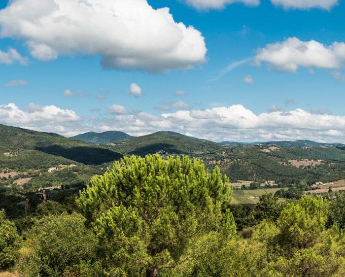 BENVENUTI NEL CUORE VERDE D ITALIA Immerse yourself in the green countryside of Umbria and treat your mind and body to a special experience.