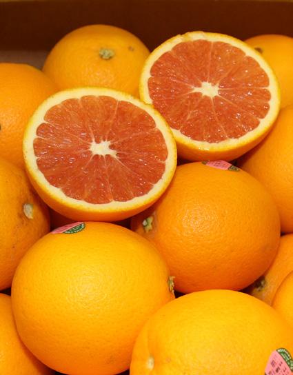 will be nice opportunities for retailers to get behind California Organic Citrus