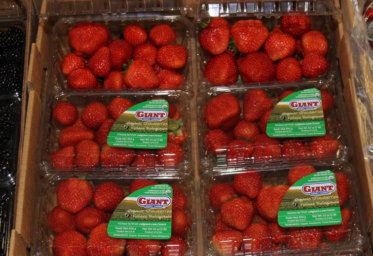 They are back in 8/1lb packs due to large berry sizes.
