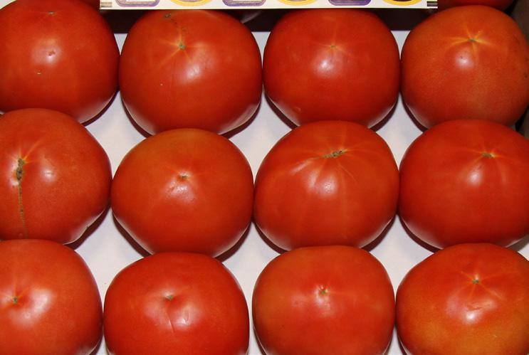 Organic 15lb Hothouse and Cluster Tomatoes are in decent supply. Prices will be down for late December. Organic Cherry Tomatoes have begun out of Florida.