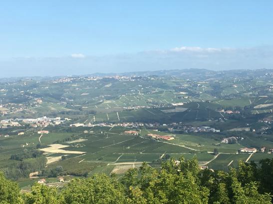 into our Italian adventure. The Langhe Hills Truffle Hunting Day 2 A Day of Decadence or a Leisure Day in Alba If you would like the day to explore Alba on your own this is your day!