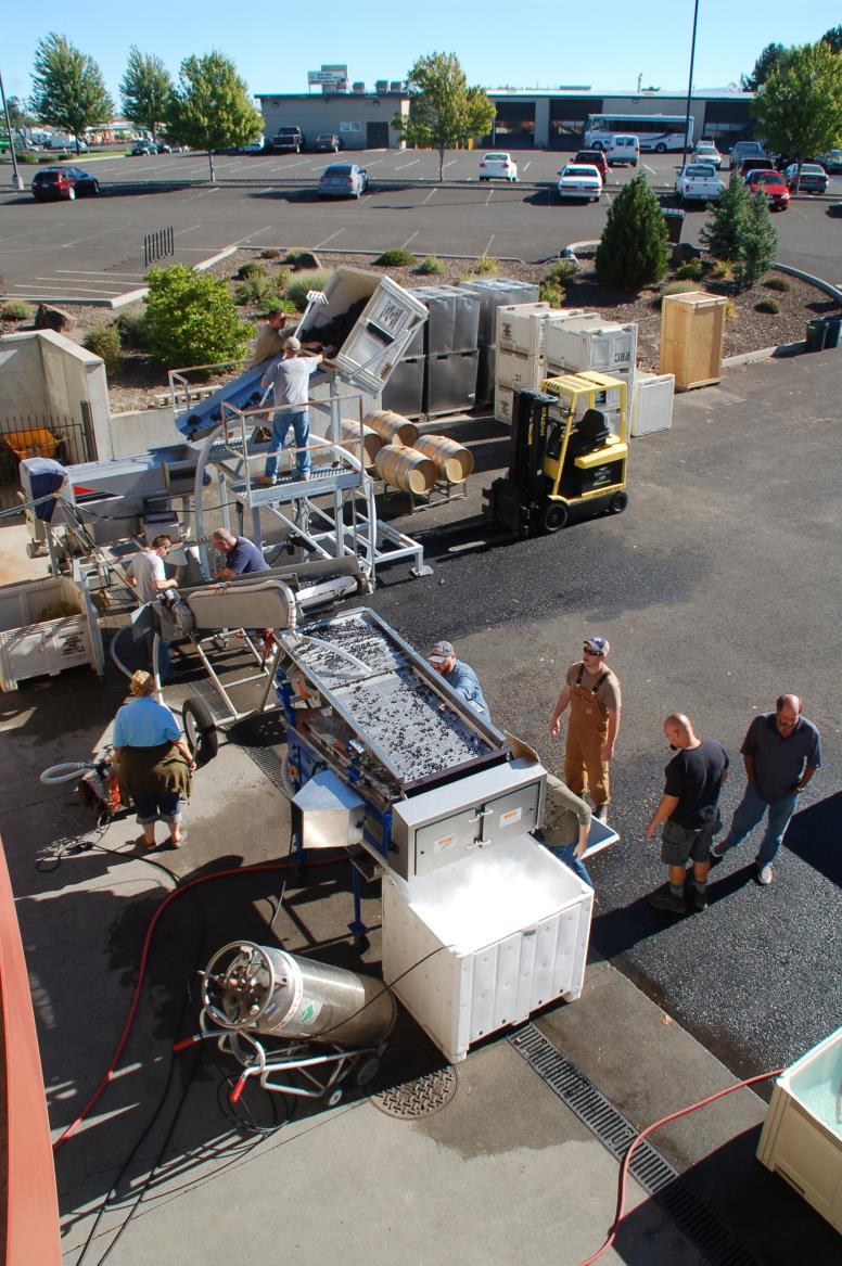 Winery 100% state of the art Optical Sorter Crossflow Filtration Production