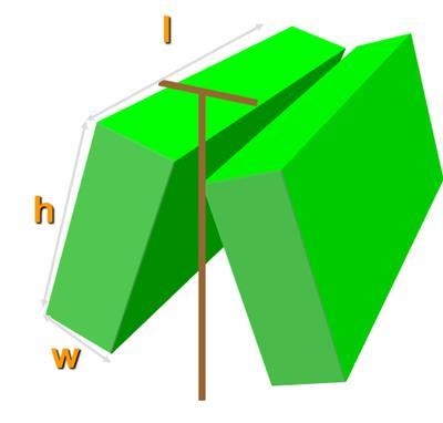 node long canes with canopy