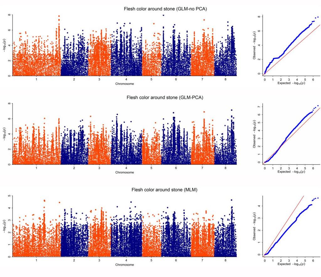 61 62 63 64 Supplementary Figure 10: Manhattan and quantile-quantile plots for Genome-wide