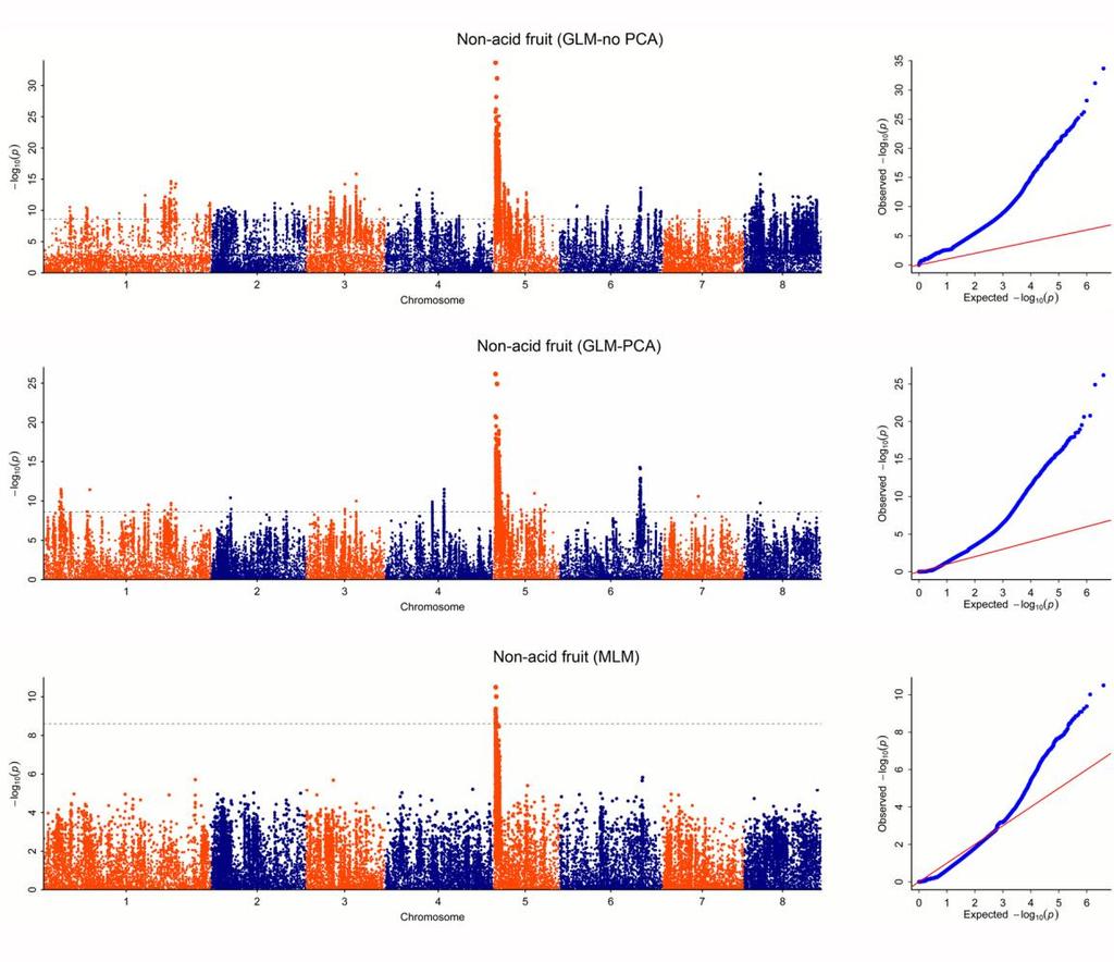 65 66 67 68 Supplementary Figure 11: Manhattan and quantile-quantile plots for Genome-wide