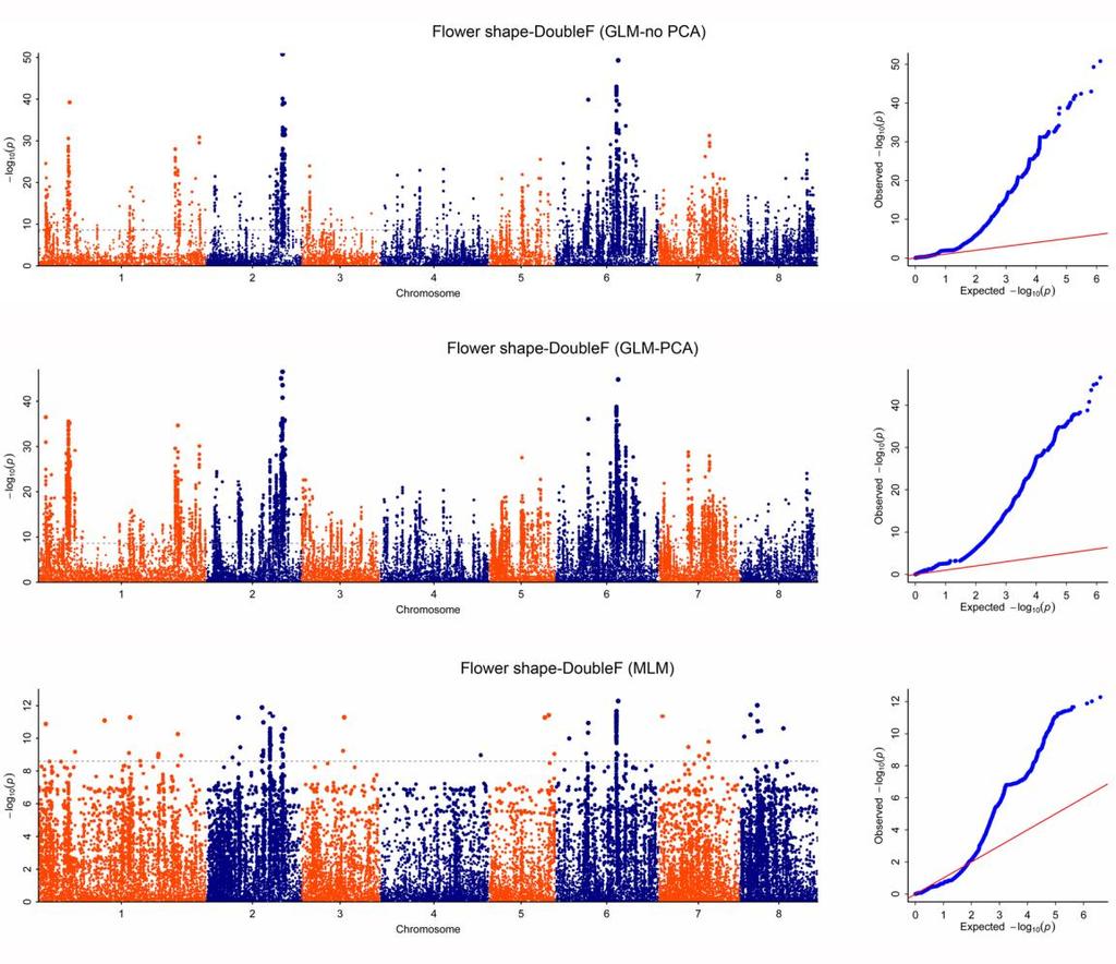 73 74 75 76 Supplementary Figure 13: Manhattan and quantile-quantile plots for Genome-wide
