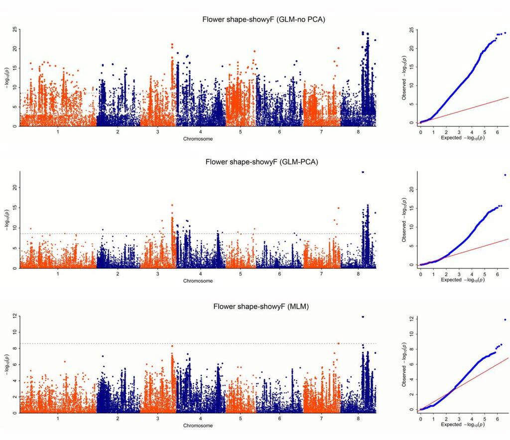 77 78 79 80 Supplementary Figure 14: Manhattan and quantile-quantile plots for Genome-wide