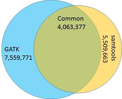 3 4 5 6 7 8 9 10 Supplementary Figure 2: Venn diagram showing the number of unique and common SNPs which called by the GATK and SAMtools software packages.