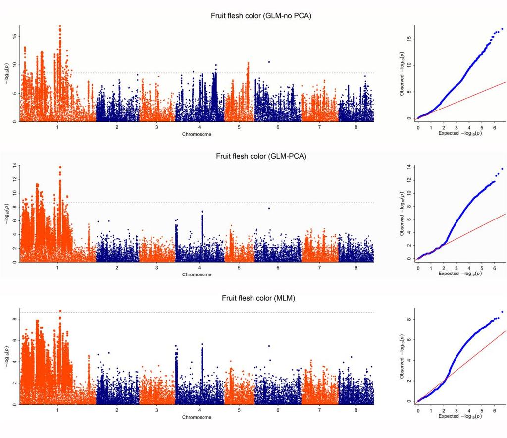 49 50 51 52 Supplementary Figure 7: Manhattan and quantile-quantile plots for Genome-wide