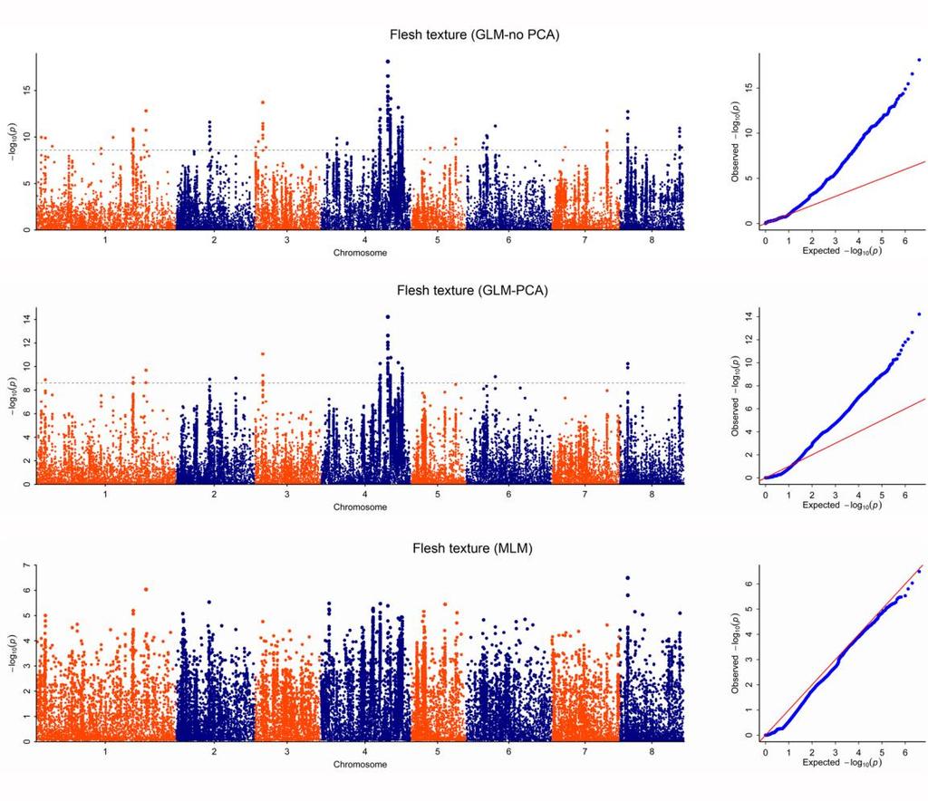 57 58 59 60 Supplementary Figure 9: Manhattan and quantile-quantile plots for Genome-wide