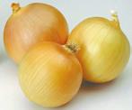 or White Onions 9 Fresh