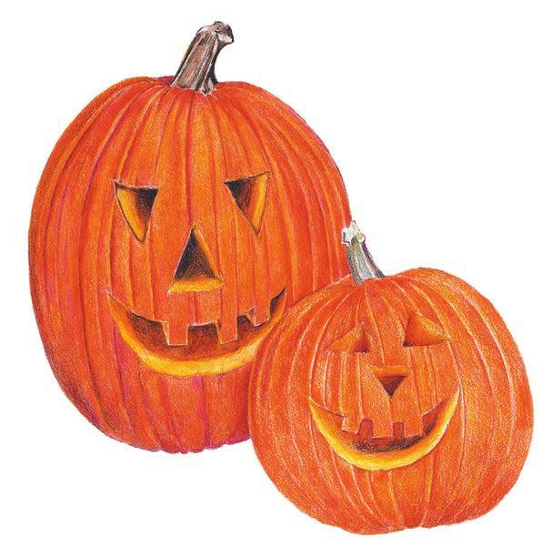 Make sure your hands and any tools are both clean and sanitized. Then wipe the outside of the pumpkin down with bleach before making the first cut.