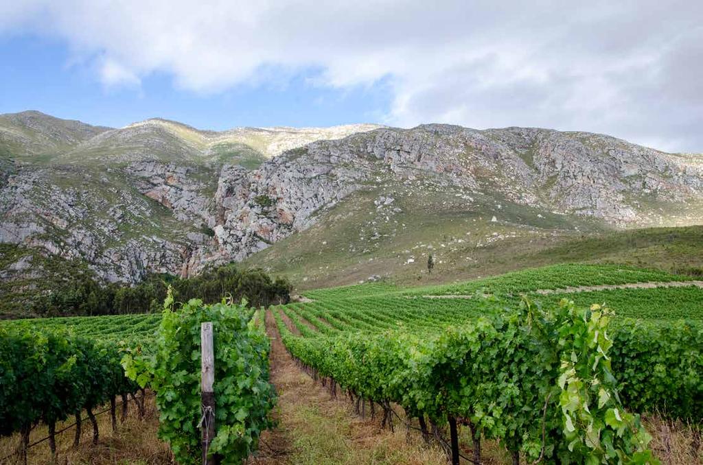 Back to the origin with a Terroir Tour friday 1 March & Saturday 2 MARCH Time: Fri: 14:00, 17:00 Sat:
