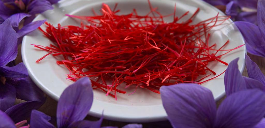 Mission The necessity of importing a high quality product is born from the awareness that there is a yearly consumption of 300 tons of saffron in the global market, 3 of which expended in Italy.