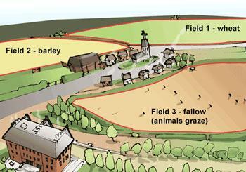 Farming In the Roman times farmers would leave ½ of their land fallow each