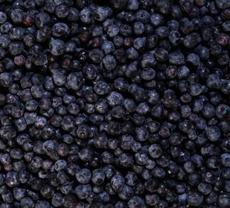 IQF Fruit Quality CFIA Grade A fruit Good flavour of well-ripened blueberries Uniform colour Good condition Free from cap stems Free from defects