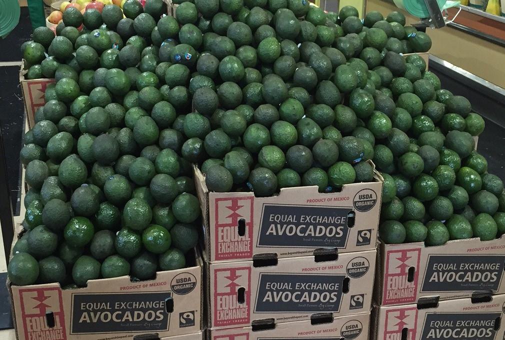 December 21 - January 4, 2018 MARKET NEWS 51 18 FOUR SEASONS PRODUCE Og Hass Avocados OG GRAPES OG BROCCOLI Organic Hass Avocado export volumes