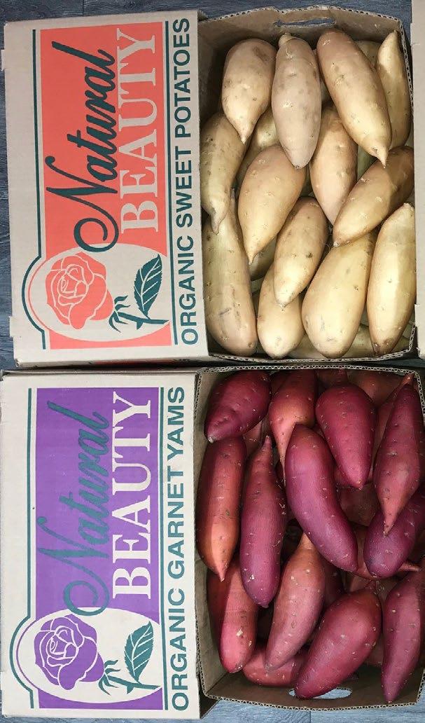 AV Thomas is the premier grower of the finest sweet potatoes you could ever offer to your customers, and we will be highlighting them for the entire month of January!