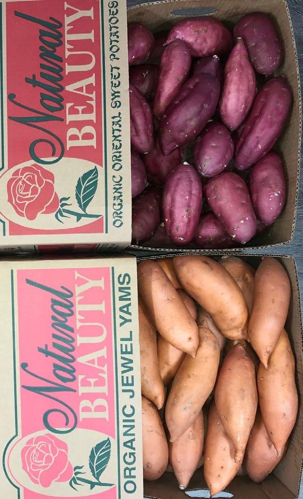 variety card showing the difference in sweet potato varieties. Keep your displays up at least one week Displays must contain at least four (4) varieties/sku s of sweet potatoes.