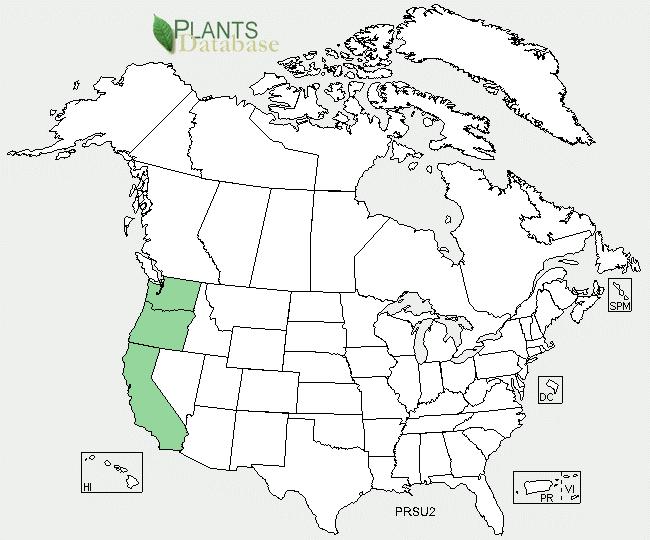 Species Code (as per USDA Plants database): Geographical range Oregon Plum (7) PRSU2 (1) GENERAL INFORMATION See U.S. county distributions (when available) by clicking on the map or the linked states