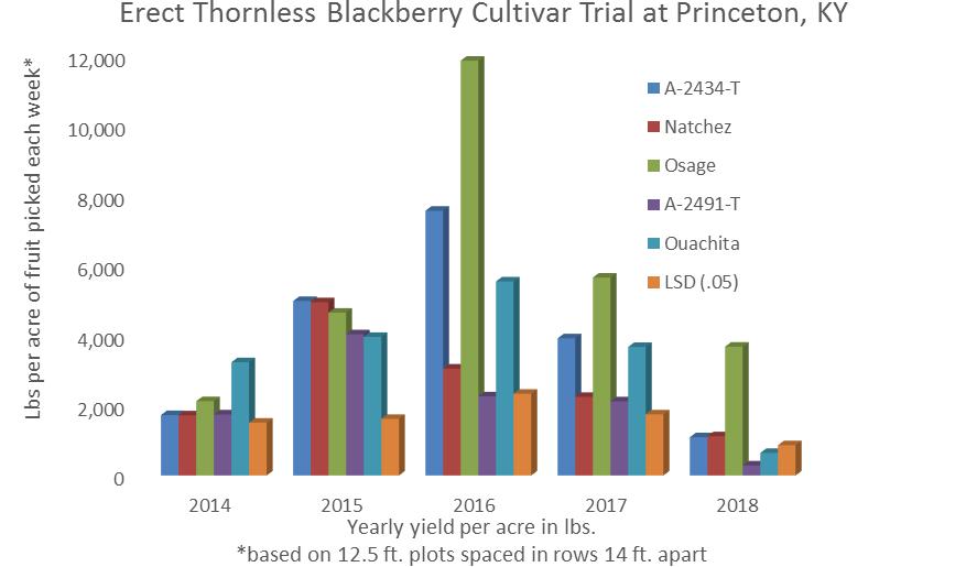 TREE AND SMALL FRUITS Erect Thornless Blackberry Cultivar Trial Dwight Wolfe and Ginny Travis, Horticulture Introduction Blackberries are an important small fruit crop in Kentucky.