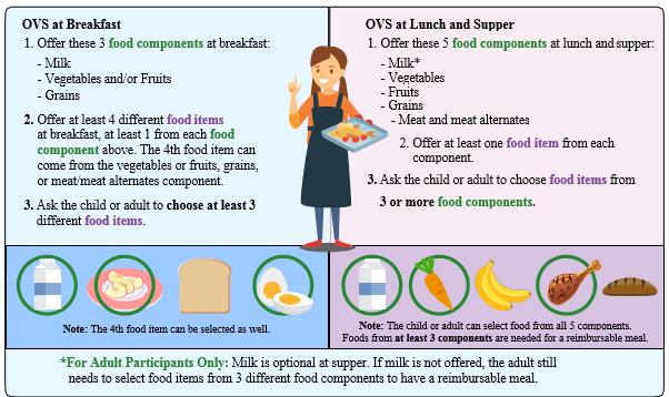 CHILD AND ADULT MEAL SERVICE UPDATES Participant s Workbook Offer Versus Serve in the CACFP If your site serves meals to at-risk afterschool or adult participants in the Child and Adult Care Food