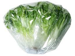 01mm PE film or bag and then packed one layer high in a carton with ventilation holes. Storage Ambient storage: Lettuces that are picked early in the morning are sent to the market on the same day.