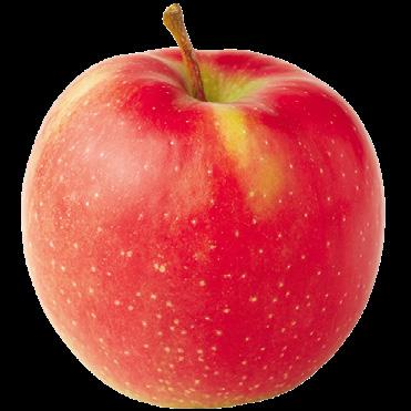 jonagold apples Product of Washington last of the