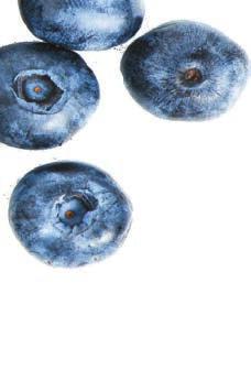 Usage Ideas for Blueberries When it comes to
