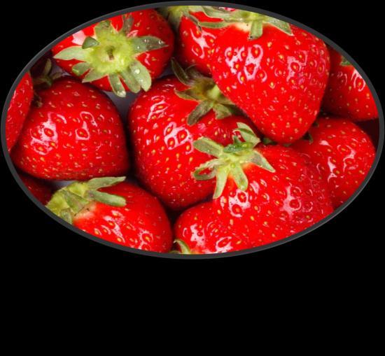 Title of Research Work STUDIES ON PREPARATION OF STRAWBERRY