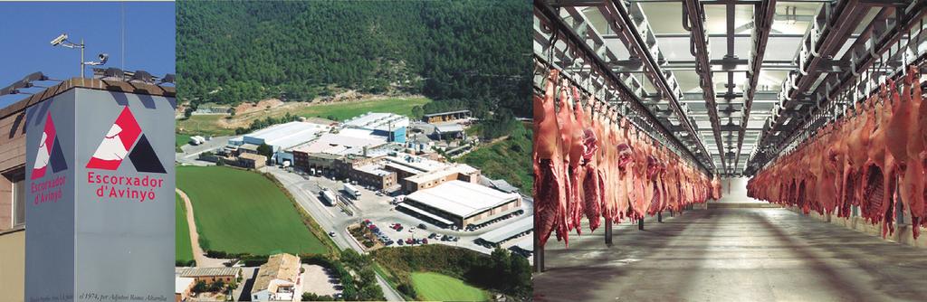 The best meat We have a slaughterhouse, cutting room, packaging room and freezer
