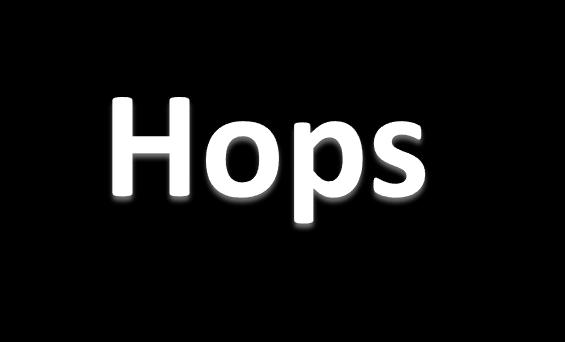 What are hops?