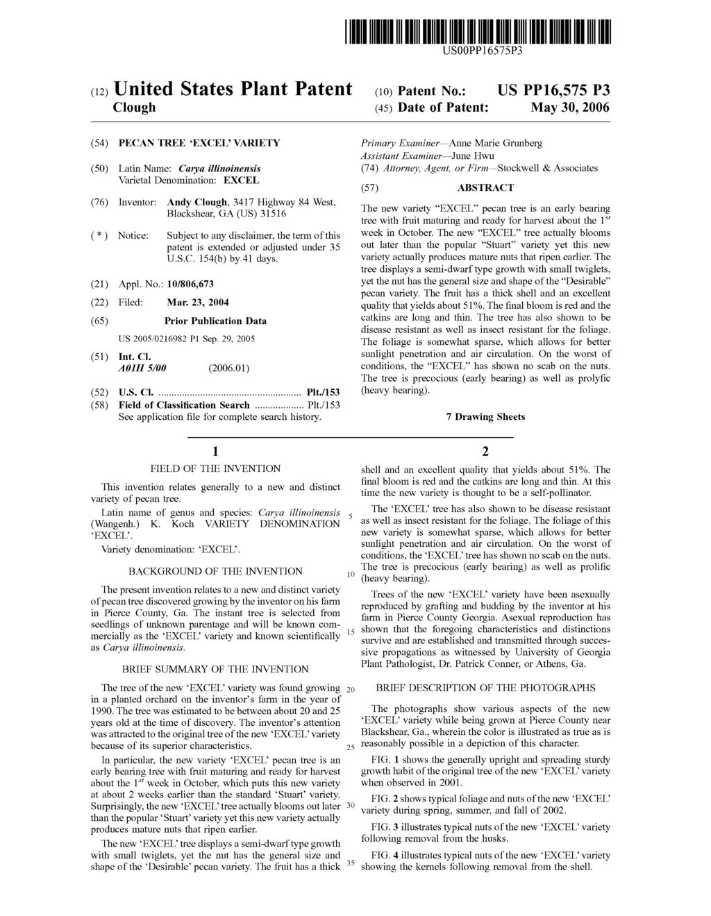 USOOPP16575P3 (12) United States Plant Patent Clough (10) Patent No.