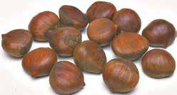 Chestnuts 16