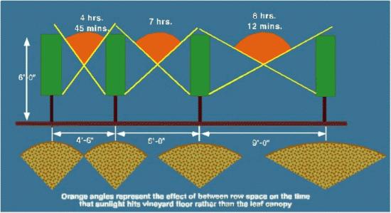 Row spacing Shading 1:1 Maximizing trellis per unit area Linear feet of Row spacing (feet) trellis/acre Yield (tons/acre) at 1.5#/ft.