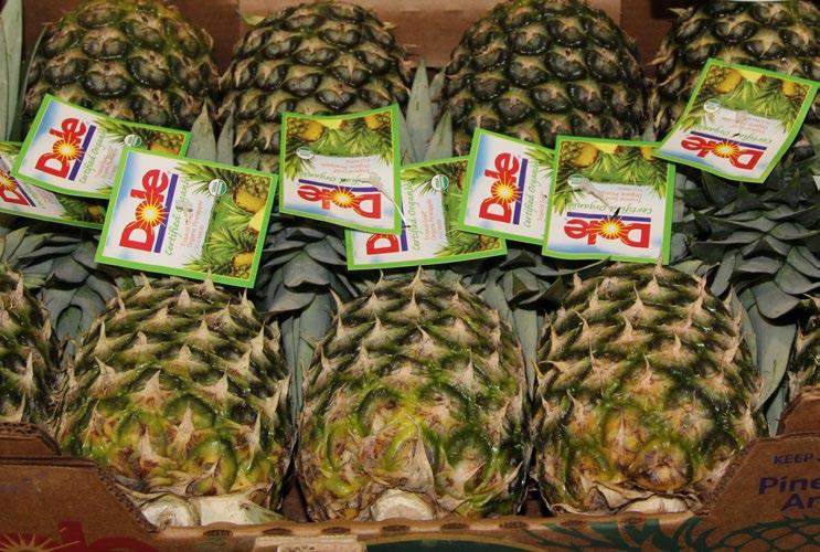 Og Pineapples ALERT! Organic Pineapple supplies continue to be limited arriving to the east coast.
