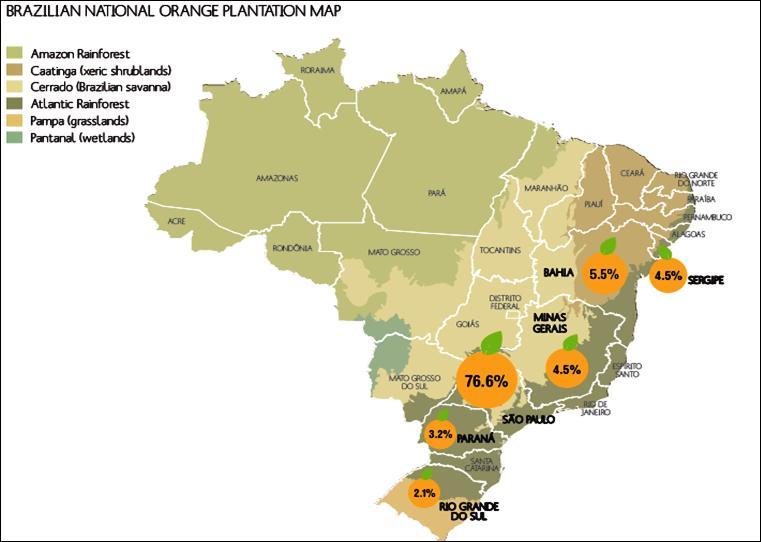 The Sector More than 50% of the orange juice produced in the world is Brazilian More than 80% of the orange juice traded in the