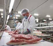 LOCKS NV The specialist in standard and custom cutting and boning of high-quality pork Locks is one of the 7 Belgian production sites of, a family business that is amongst the top 10 pork-processing