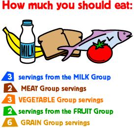 It gives recommended serving amounts for one day s intake of the listed food groups. When planning a menu for the Favorite Food Show, remember that it will only need one meal s worth of these foods.