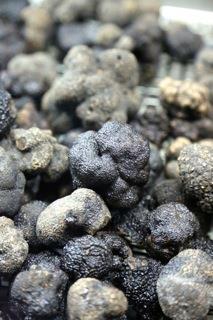 Black Truffles from Europe Estimated production France 45% 27 tons Italy 19%