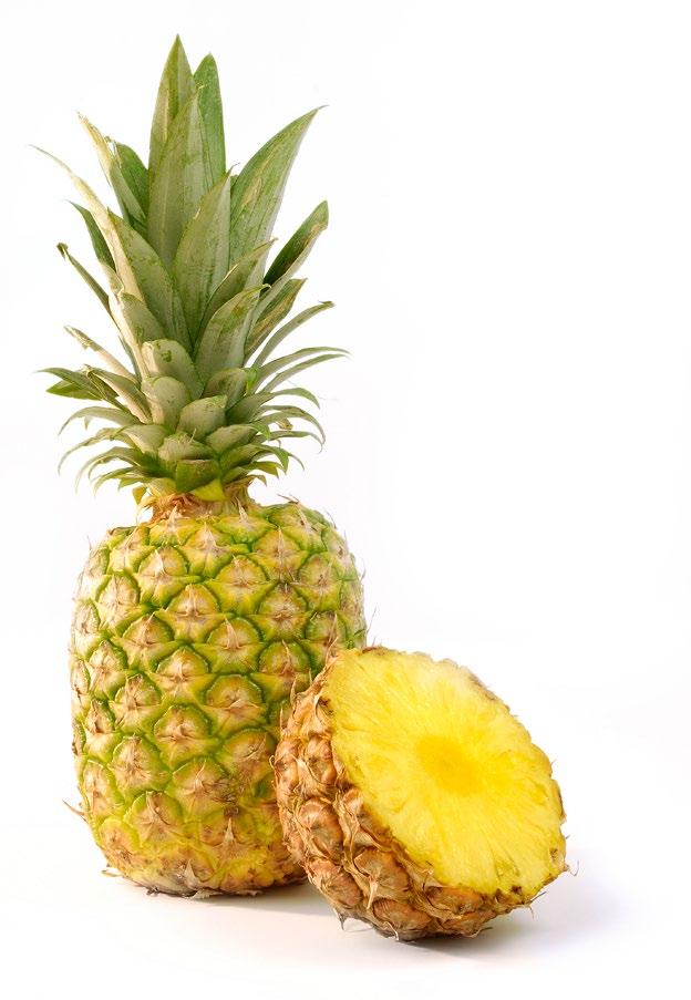 The core of the pineapple is hard and fibrous. Pineapple Pineapple plants grow to an average of 1.