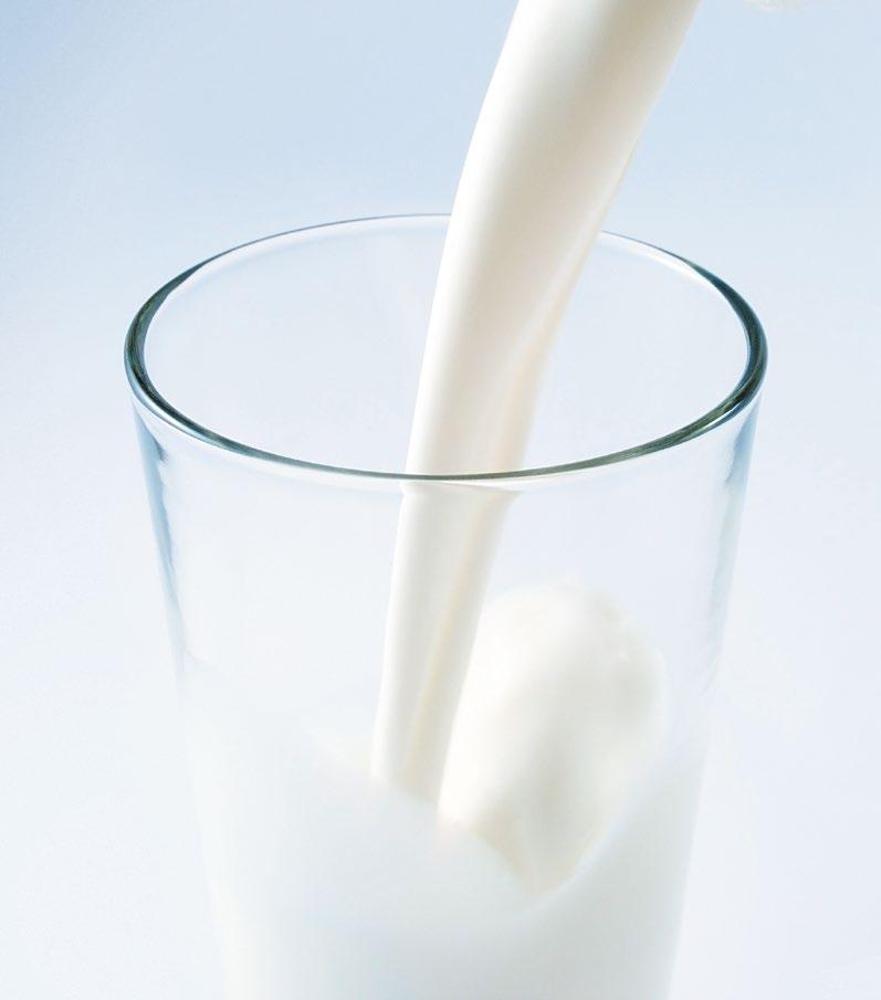 Yogurt Yogurt is made from the milk of mammals.