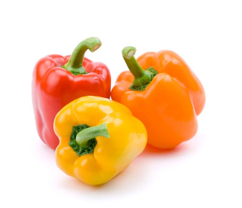 Bell Pepper Peppers grow on a plant which can reach a height of one metre.