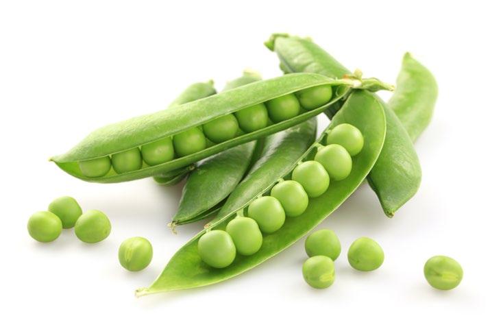 When fresh, they are called peas, when dried they are called split