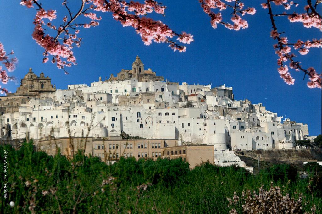 OUR STAGES - OSTUNI Ostuni is commonly referred to as The White Town for its characteristically white walls and white-painted architecture.